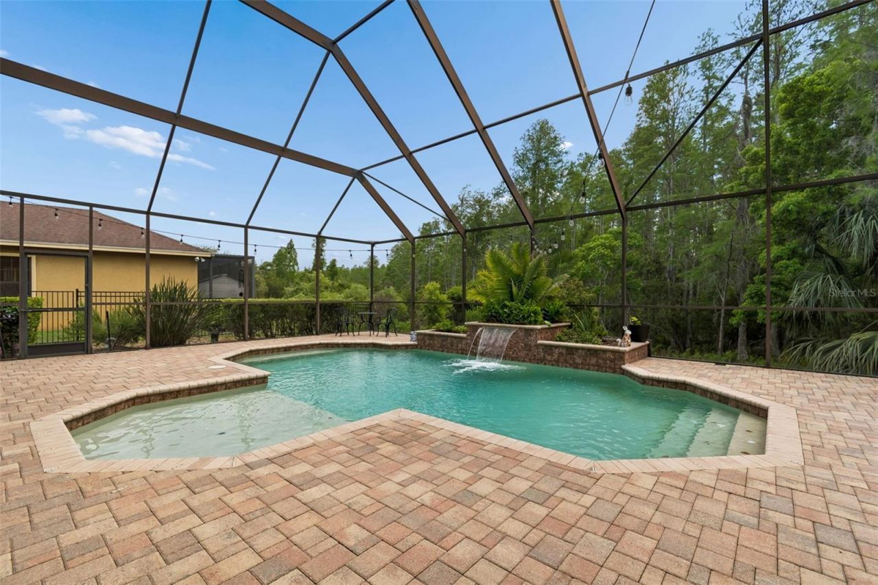 20330 Lace Cascade Road, Land O Lakes, FL 34637 Photo