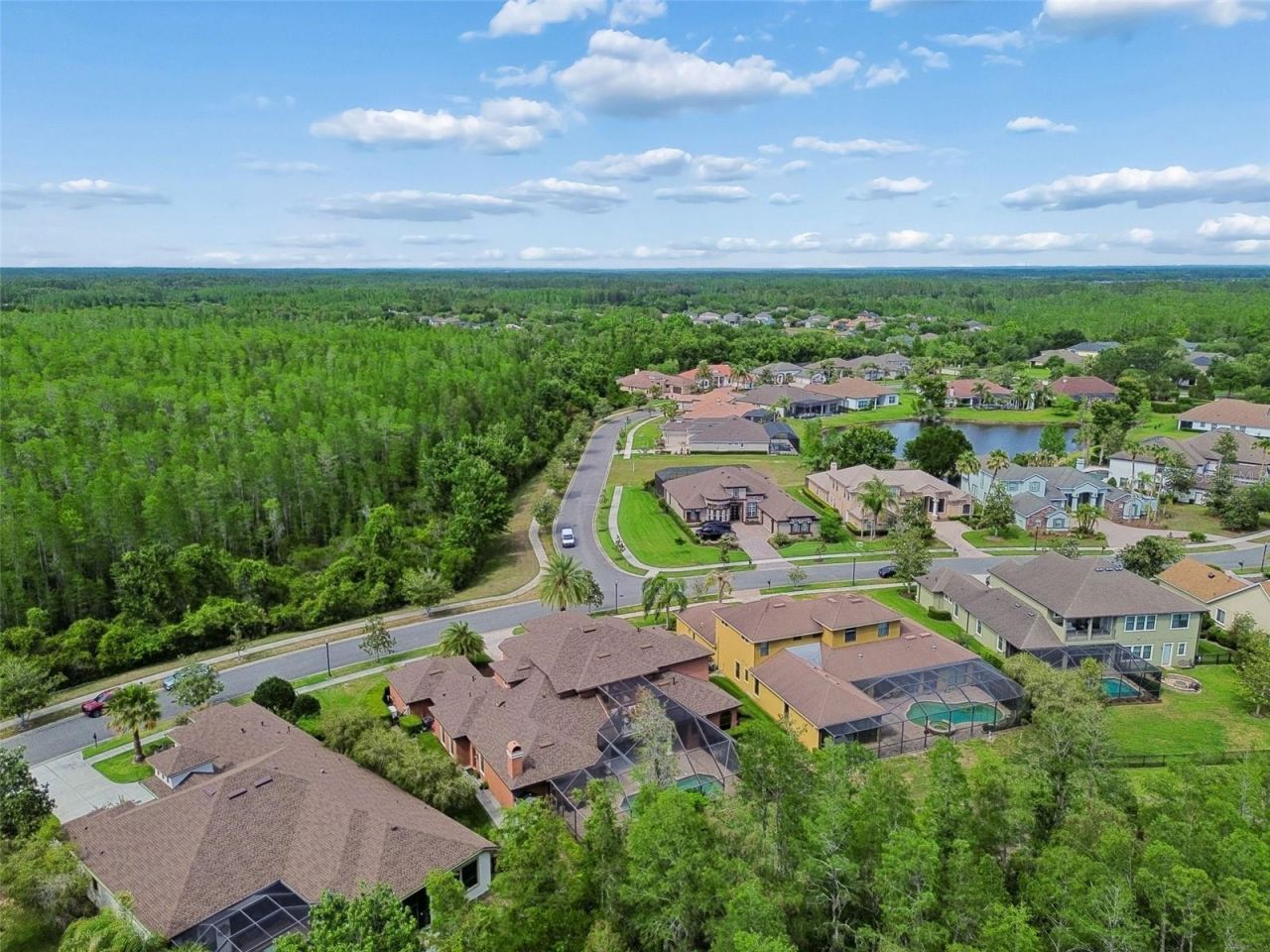 20330 Lace Cascade Road, Land O Lakes, FL 34637 Photo