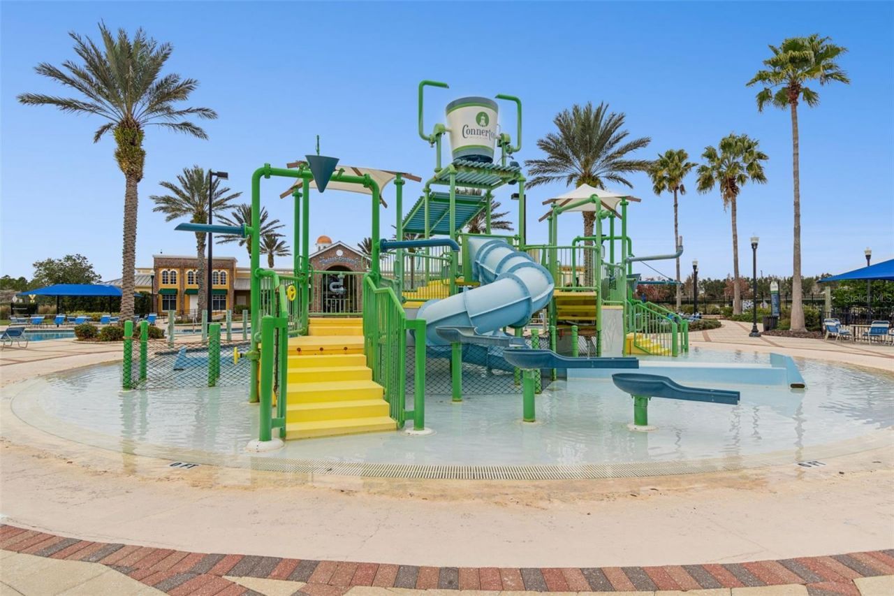 20330 Lace Cascade Road, Land O Lakes, FL 34637 Photo