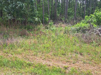 460 Grover Wilson Road, Ridgeway, SC 29130