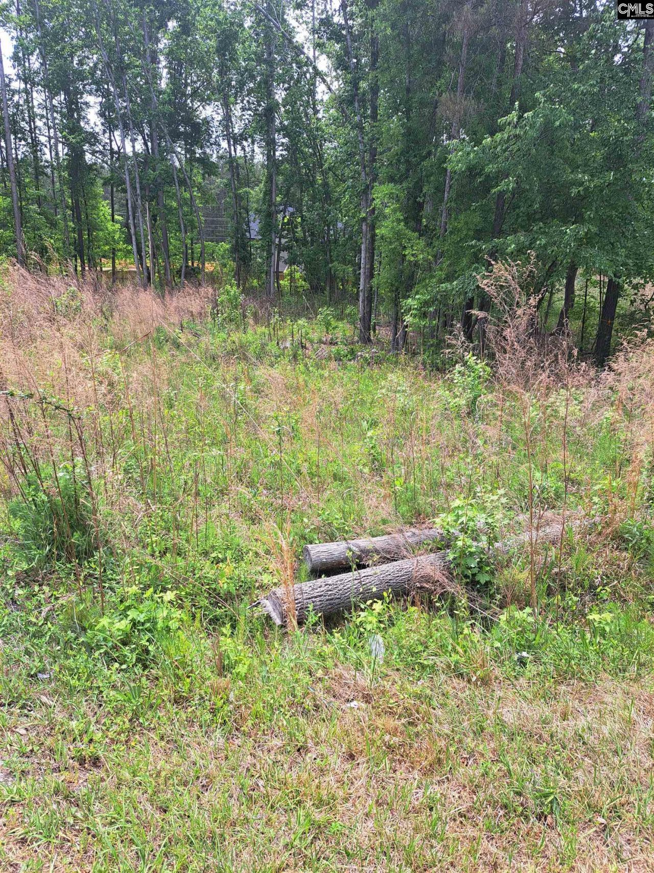 460 Grover Wilson Road Photo 12