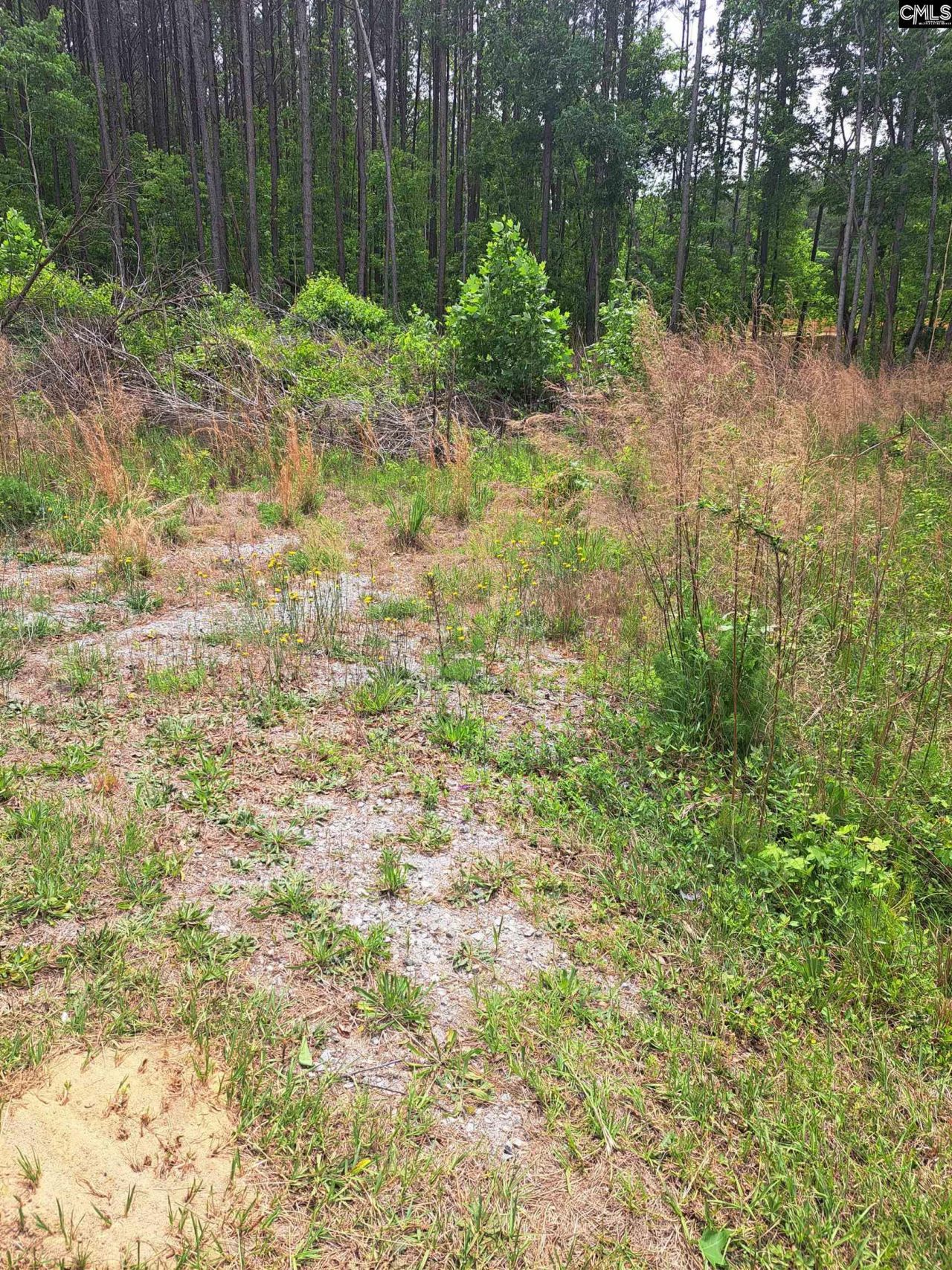 460 Grover Wilson Road Photo 13