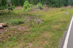 460 Grover Wilson Road photo 4