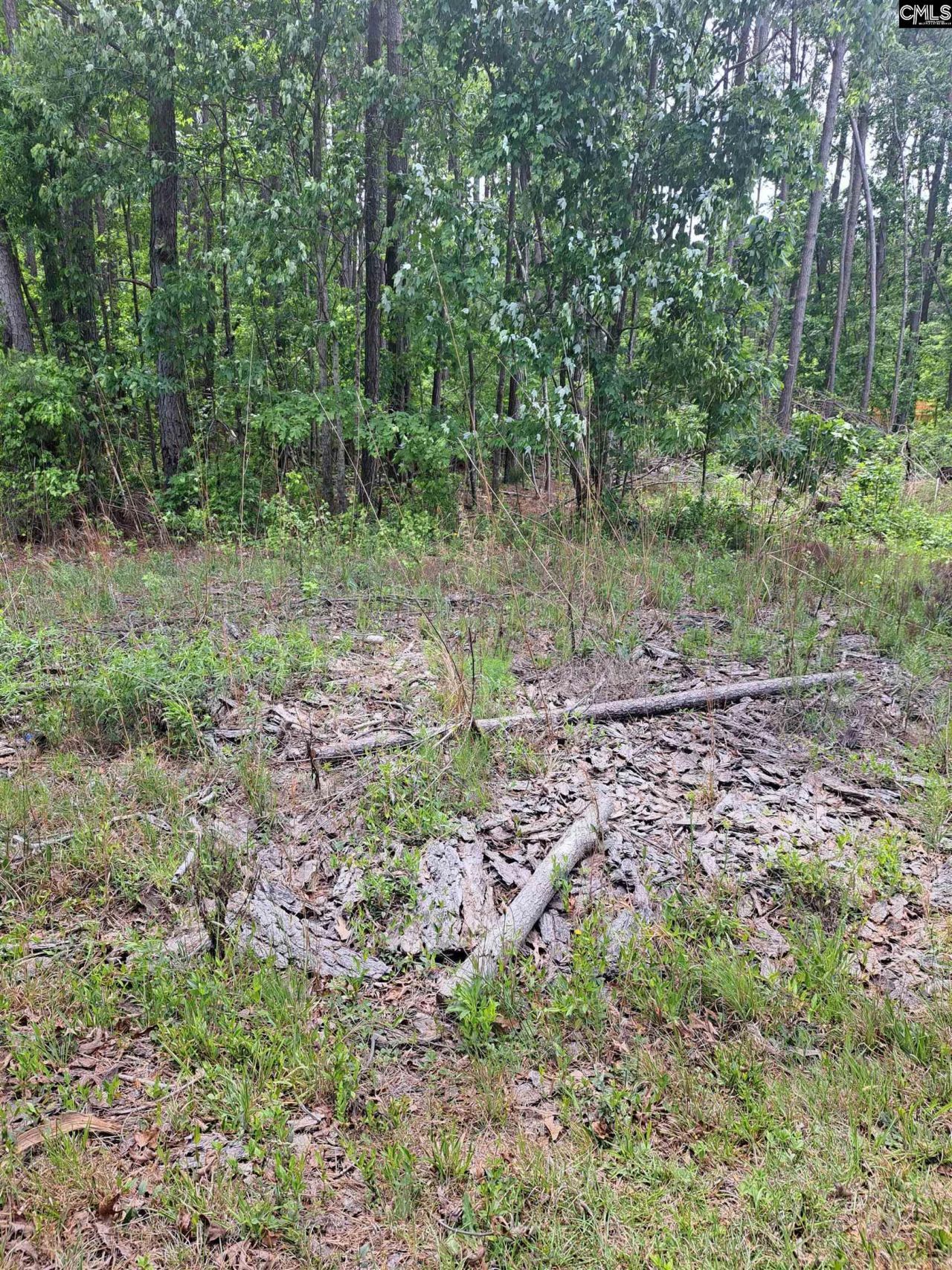 460 Grover Wilson Road Photo 5