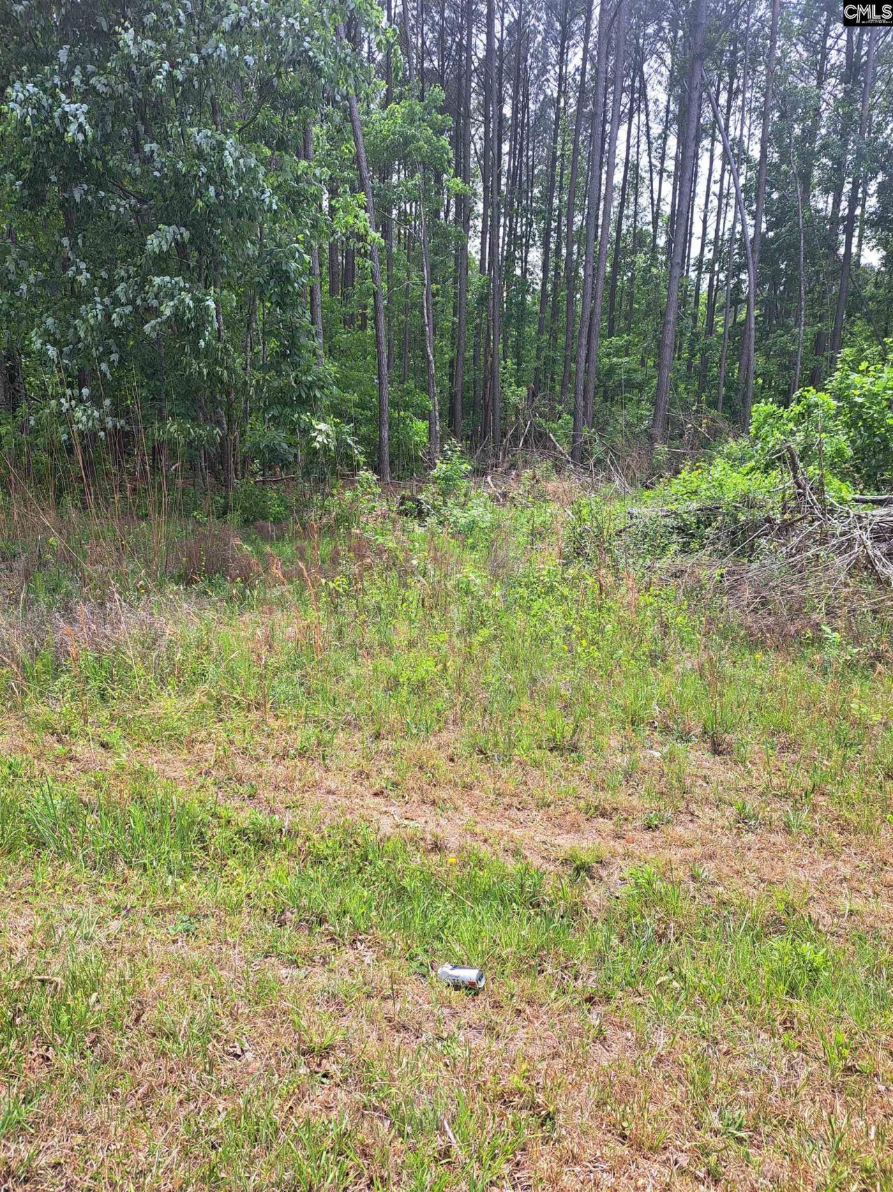460 Grover Wilson Road Photo 7