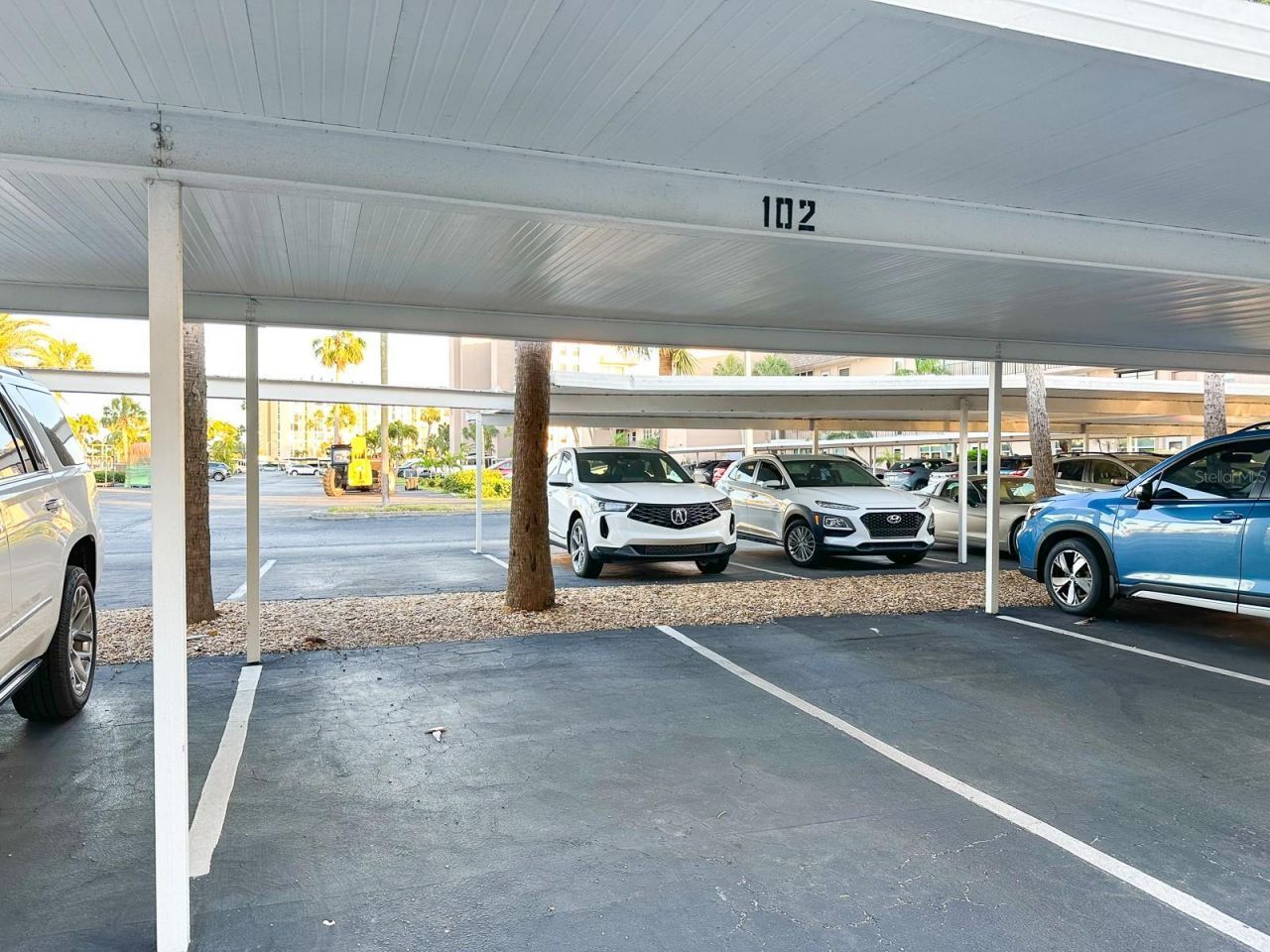 7920 Sun Island Drive S, Unit 102, South Pasadena, FL 33707 Photo