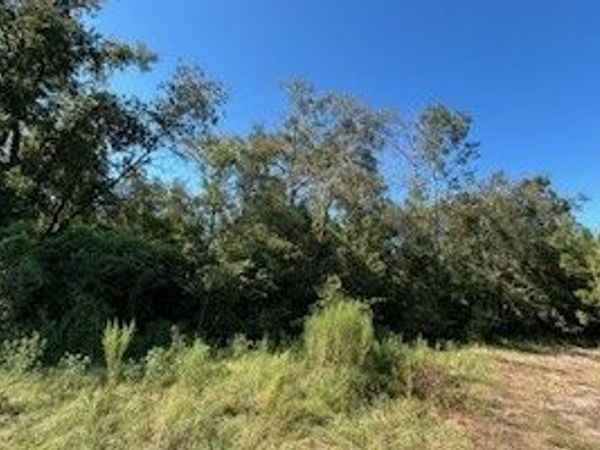 TBD 209TH PLACE, Live Oak, FL 32060