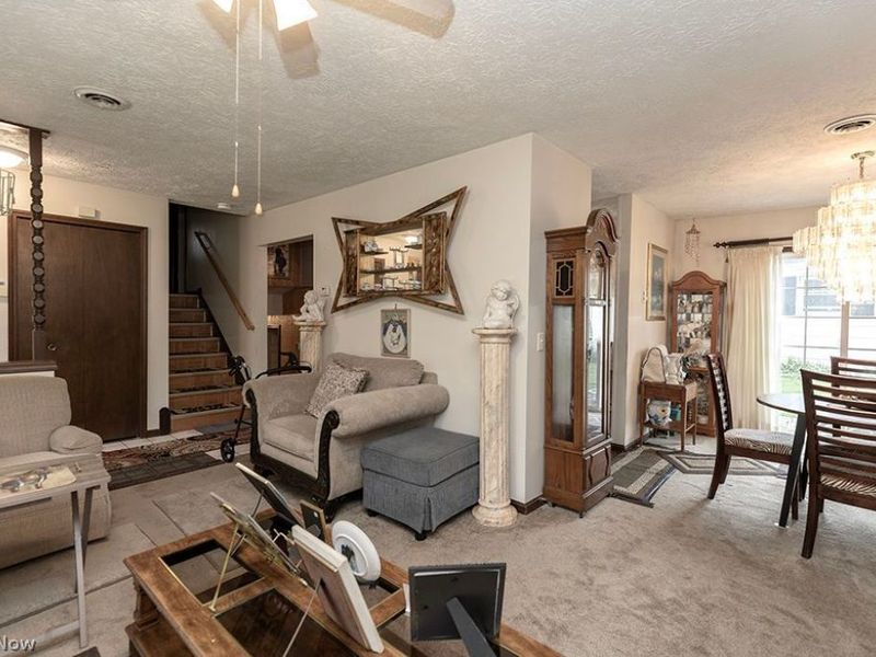 617 E Lorain Street, Oberlin, OH 44074 Photo 15