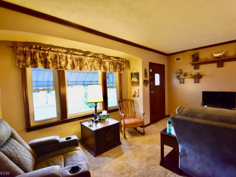 229 Courtland Street, Elyria, OH 44035 Photo 8