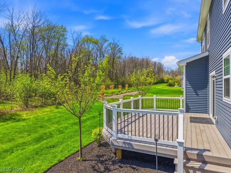 3176 Blue Jaye Lane , Twinsburg, OH 44087 Photo 36