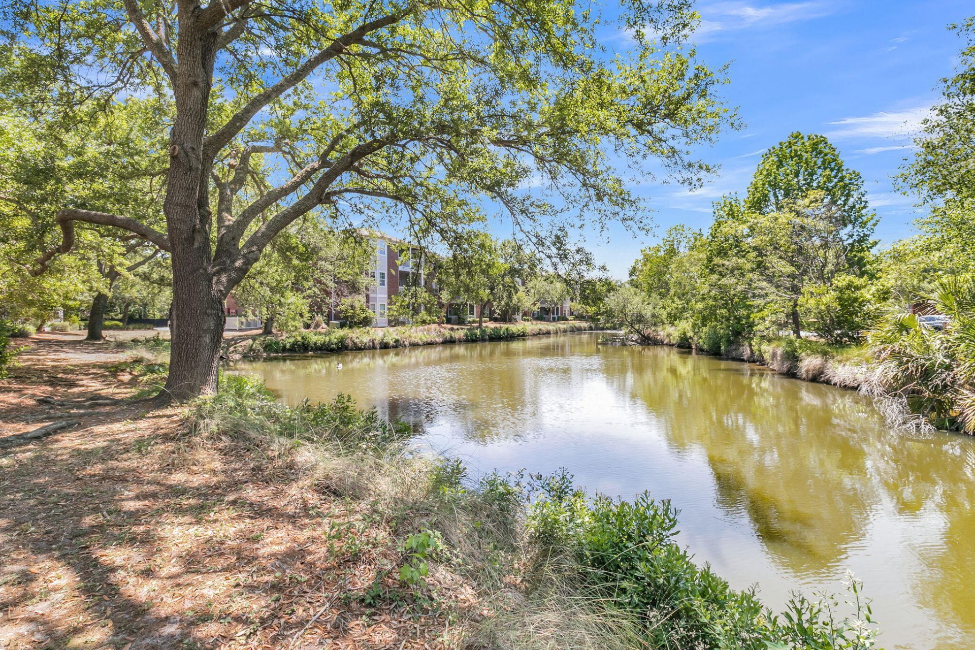 1575 Cambridge Lakes Drive Photo 30