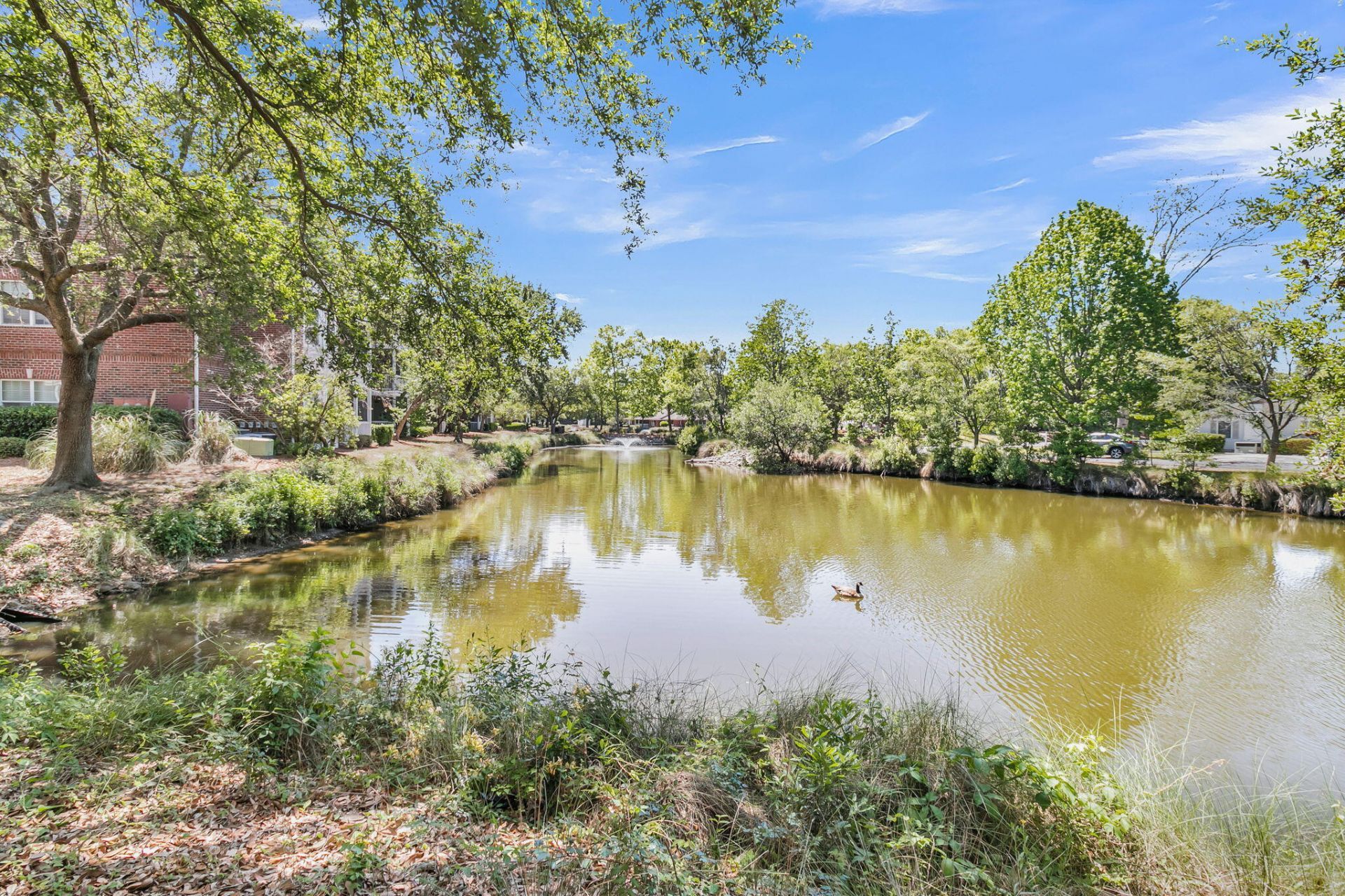 1575 Cambridge Lakes Drive Photo 31