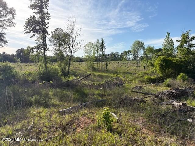 737 State Hwy 902, Pulaski, MS 39152 Main Photo