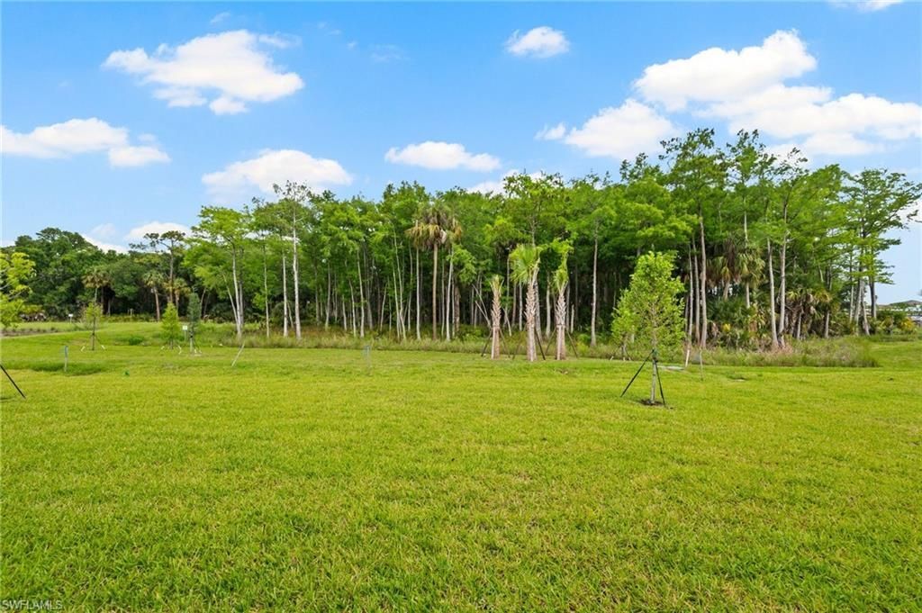 14313 Hogarth Pl, Fort Myers, FL 33905 Photo