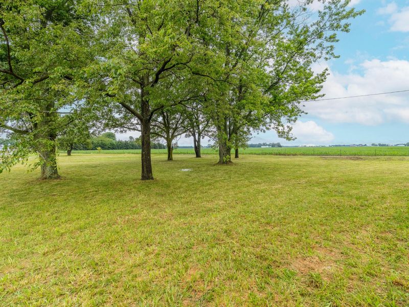 7959 State Route 571 , Greenville, OH 45331 Photo 26