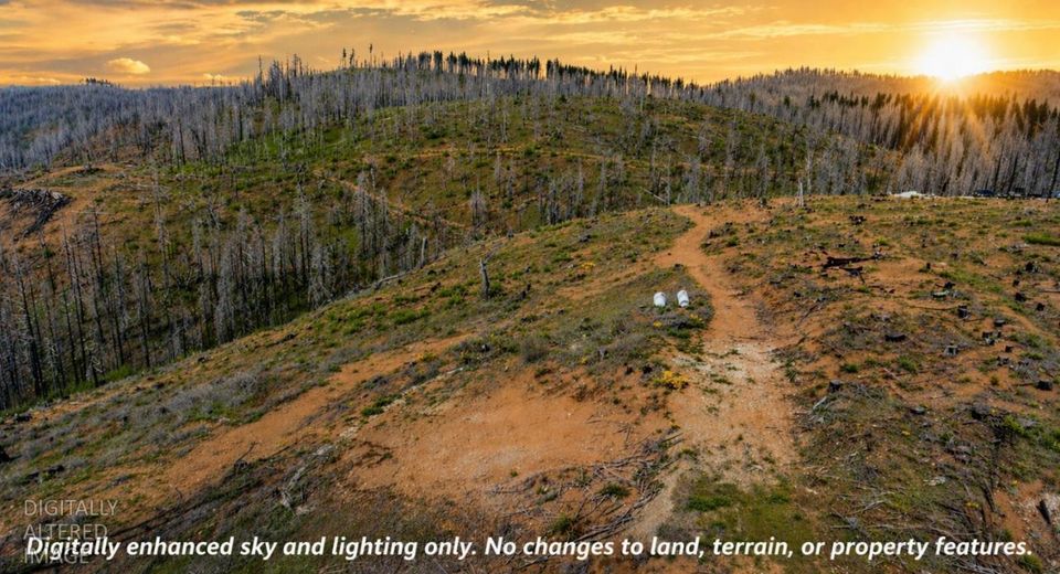 8580 Big Canyon Loop Rd, Grizzly Flats, CA 95636 Photo