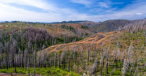 8580 Big Canyon Loop Rd, Grizzly Flats, CA 95636 Photo