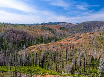 8580 Big Canyon Loop Rd, Grizzly Flats, CA 95636 Photo