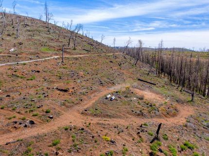 8580 Big Canyon Loop Rd, Grizzly Flats, CA 95636 Photo