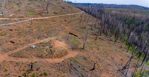 8580 Big Canyon Loop Rd, Grizzly Flats, CA 95636 Photo