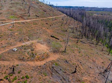 8580 Big Canyon Loop Rd, Grizzly Flats, CA 95636 Photo