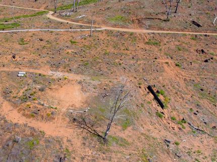 8580 Big Canyon Loop Rd, Grizzly Flats, CA 95636 Photo