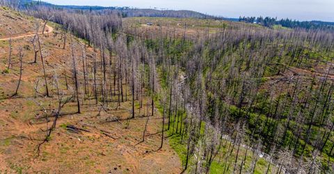 8580 Big Canyon Loop Rd, Grizzly Flats, CA 95636 Photo