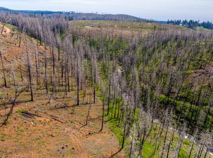 8580 Big Canyon Loop Rd, Grizzly Flats, CA 95636 Photo