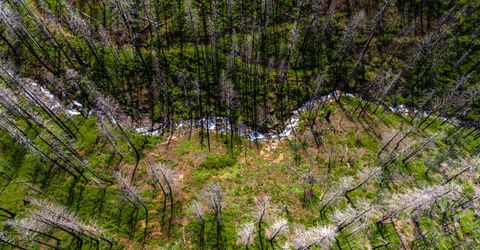 8580 Big Canyon Loop Rd, Grizzly Flats, CA 95636 Photo