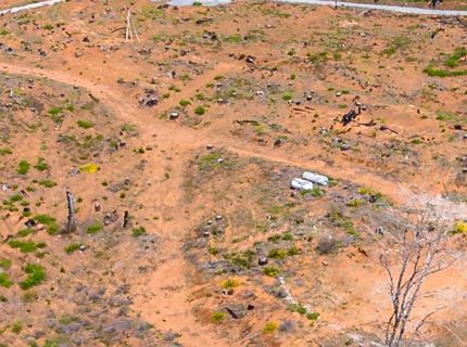 8580 Big Canyon Loop Rd, Grizzly Flats, CA 95636 Photo