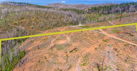 8580 Big Canyon Loop Rd, Grizzly Flats, CA 95636 Photo