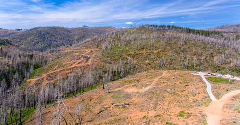 8580 Big Canyon Loop Rd, Grizzly Flats, CA 95636 Photo