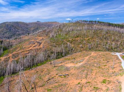 8580 Big Canyon Loop Rd, Grizzly Flats, CA 95636 Photo