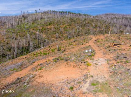 8580 Big Canyon Loop Rd, Grizzly Flats, CA 95636 Photo