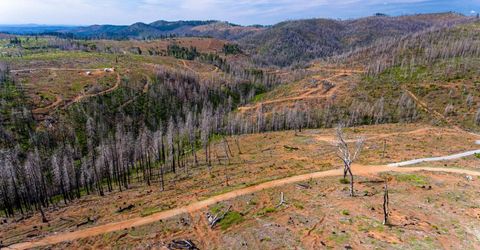 8580 Big Canyon Loop Rd, Grizzly Flats, CA 95636 Photo