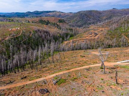 8580 Big Canyon Loop Rd, Grizzly Flats, CA 95636 Photo