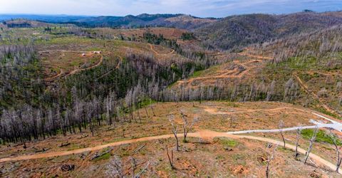 8580 Big Canyon Loop Rd, Grizzly Flats, CA 95636 Photo