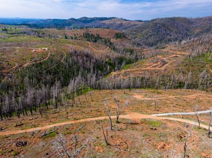 8580 Big Canyon Loop Rd, Grizzly Flats, CA 95636 Photo