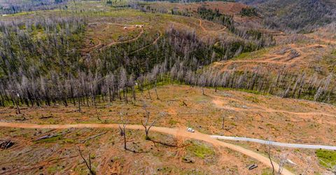 8580 Big Canyon Loop Rd, Grizzly Flats, CA 95636 Photo