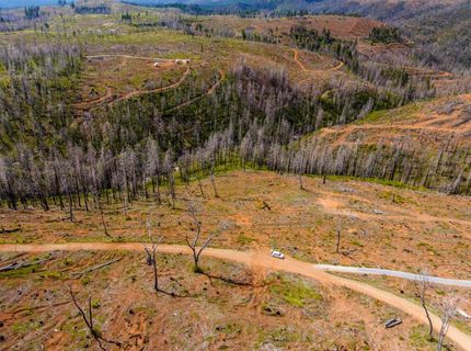 8580 Big Canyon Loop Rd, Grizzly Flats, CA 95636 Photo