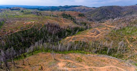 8580 Big Canyon Loop Rd, Grizzly Flats, CA 95636 Photo