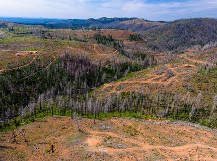 8580 Big Canyon Loop Rd, Grizzly Flats, CA 95636 Photo