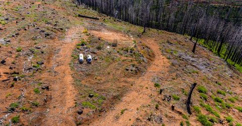 8580 Big Canyon Loop Rd, Grizzly Flats, CA 95636 Photo