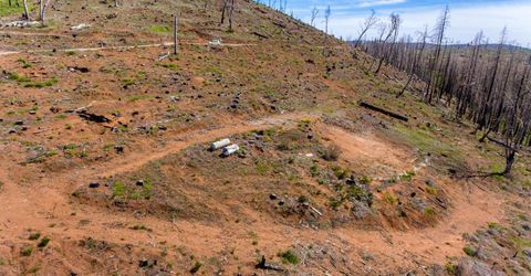 8580 Big Canyon Loop Rd, Grizzly Flats, CA 95636 Photo