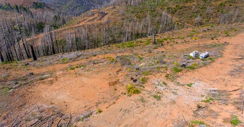 8580 Big Canyon Loop Rd, Grizzly Flats, CA 95636 Photo