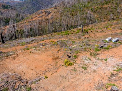 8580 Big Canyon Loop Rd, Grizzly Flats, CA 95636 Photo