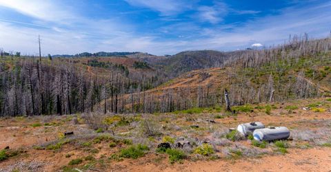 8580 Big Canyon Loop Rd, Grizzly Flats, CA 95636 Photo