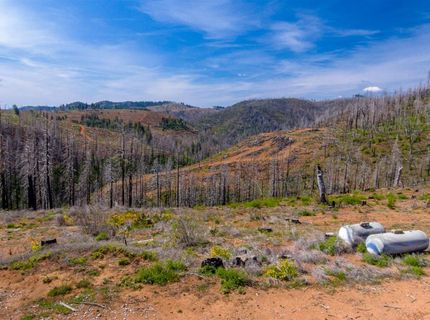 8580 Big Canyon Loop Rd, Grizzly Flats, CA 95636 Photo