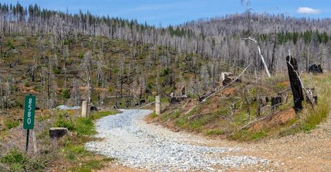 8580 Big Canyon Loop Rd, Grizzly Flats, CA 95636 Photo