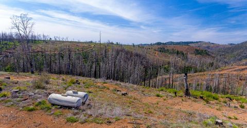 8580 Big Canyon Loop Rd, Grizzly Flats, CA 95636 Photo